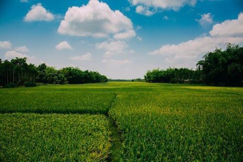 居民醫(yī)療保險交多少年就不用交了？要交多少錢？