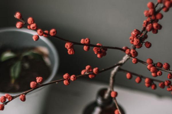 和泰光武7號(hào)重疾險(xiǎn)表現(xiàn)如何？有哪些保障？