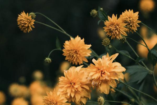 達(dá)爾文7號保費(fèi)測算情況如何？有哪些亮點(diǎn)？
