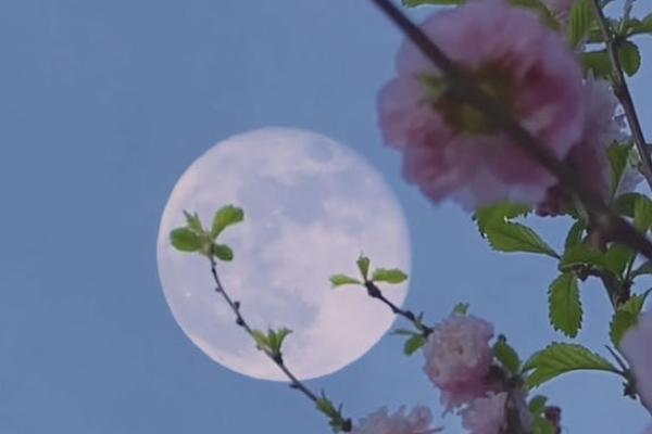 慧馨安2022少兒重疾險(xiǎn)投保規(guī)則有哪些？提供哪些保障？