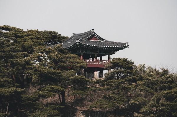 中國(guó)人壽重疾險(xiǎn)交20后可以把錢拿出來(lái)嗎？投保方式有哪些呢？