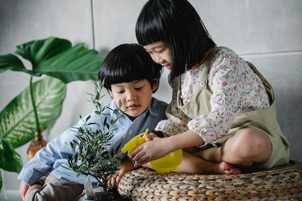 中國人壽少兒一生幸?；榧藿鹪趺礃?？值得買嗎？