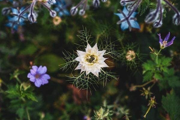 交養(yǎng)老保險(xiǎn)按周歲交還是虛歲？是怎么繳費(fèi)的？