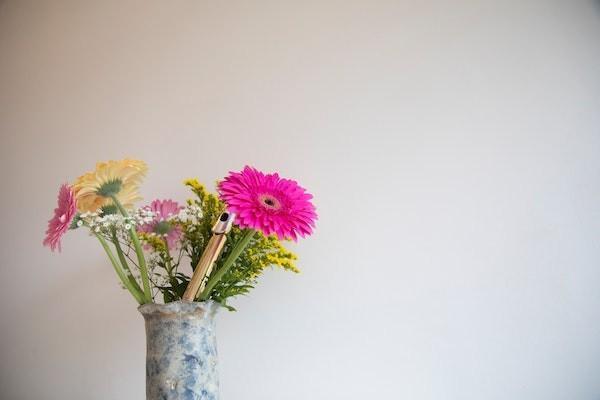 在農(nóng)村不交養(yǎng)老保險(xiǎn)到60周歲有錢嗎？沒有交滿可以補(bǔ)交嗎？