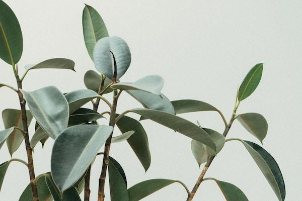 廈門老人意外險(xiǎn)在哪里報(bào)？可以報(bào)銷多少錢？