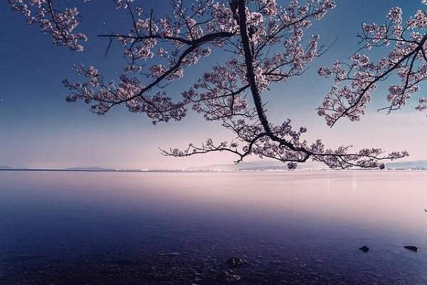 太平洋的重疾險(xiǎn)怎么樣？有必要買(mǎi)嗎？