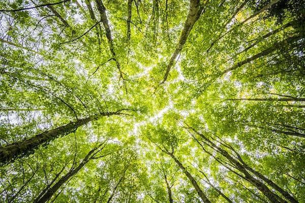 河北省醫(yī)療保險交多少年才能終身享受？每個月要交多少錢呢？