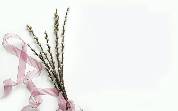 重疾險過期多久算脫保？過期有影響嗎？