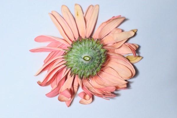 昆侖健康青春多倍版的承保公司怎么樣？有什么特點(diǎn)？