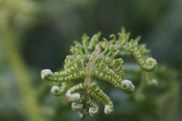 泰愛(ài)保百萬(wàn)醫(yī)療險(xiǎn)怎么樣？要多少錢(qián)？