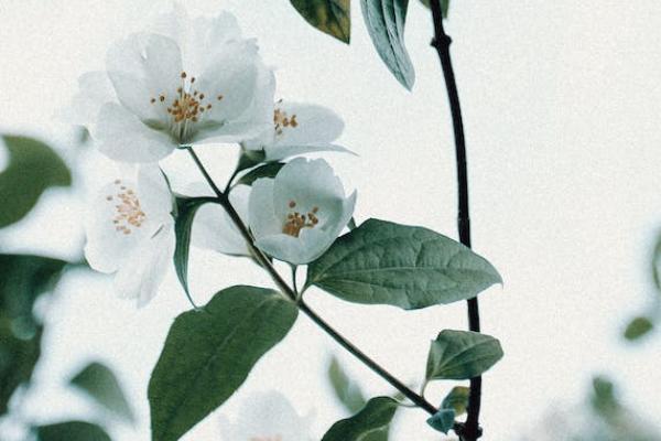 昆侖健康保險(xiǎn)歲享金生終身護(hù)理保險(xiǎn)怎么樣？有哪些優(yōu)缺點(diǎn)？