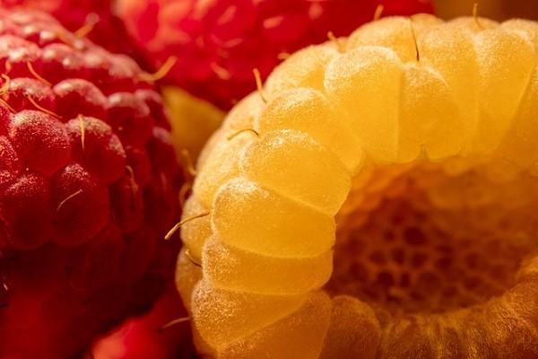 重疾險(xiǎn)退保怎樣可以退全款？退保流程有哪些？