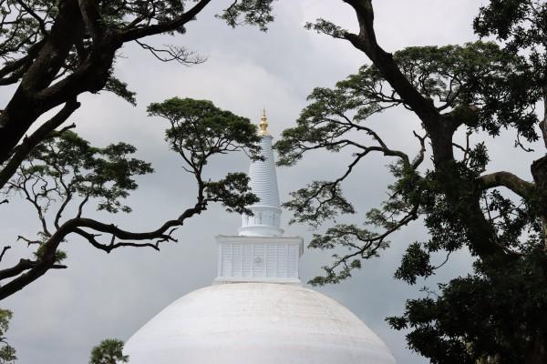重疾險出險后保險公司去醫(yī)院調(diào)查嗎？調(diào)查要多久？