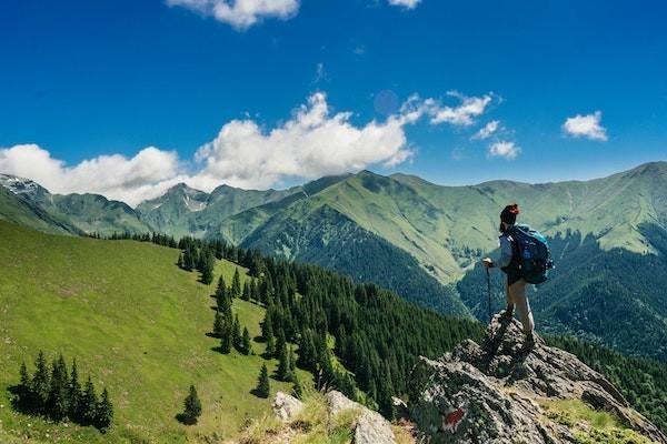 同程旅行意外險怎么退？能退多少錢？