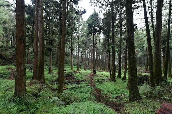 2023天津醫(yī)保意外險報銷流程是什么？范圍有哪些？