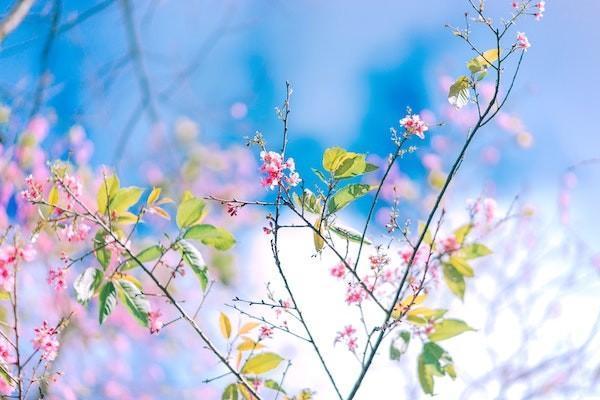 400元意外險(xiǎn)是怎么賠付？怎么買？