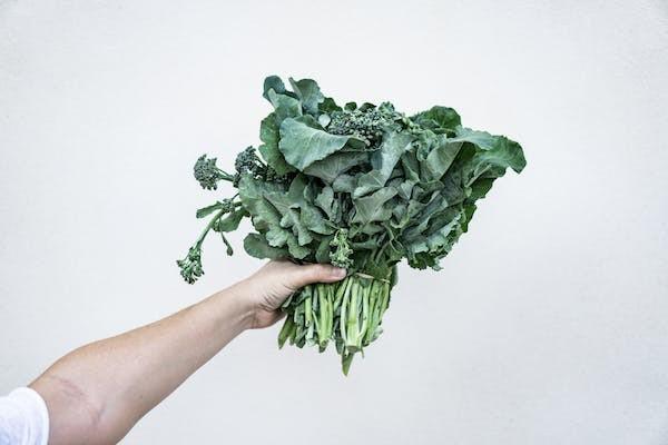 消防員有意外險嗎？消防員意外險多少錢？