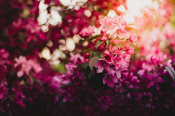 視網(wǎng)膜脫落可以報(bào)意外險(xiǎn)嗎？意外險(xiǎn)怎么理賠？