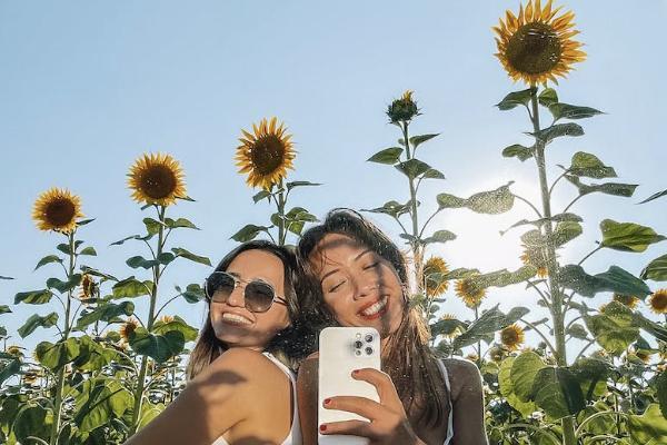 太平洋保險公司金生無憂重疾險怎么樣？可靠嗎？