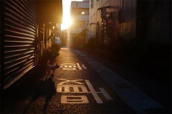 職工重大疾病醫(yī)療補(bǔ)助是單位承擔(dān)嗎？有多少錢呢？