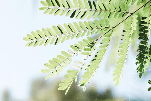國聯(lián)達(dá)爾文7號重疾險(xiǎn)停售了嗎？有什么特點(diǎn)？