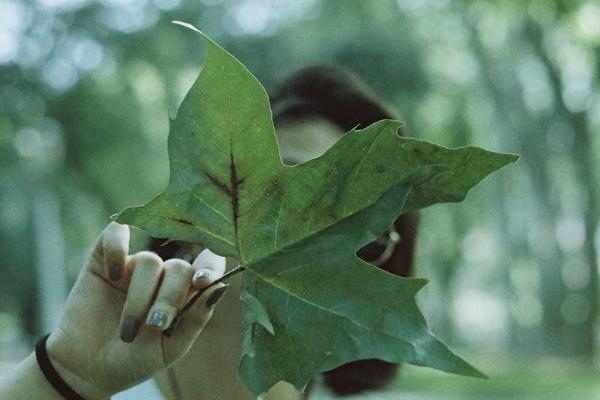 意外保險(xiǎn)生病住院能報(bào)銷嗎？報(bào)銷流程是什么？