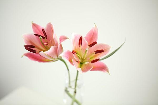 意外險(xiǎn)能報(bào)檢查費(fèi)嗎？能報(bào)銷哪些費(fèi)用呢？
