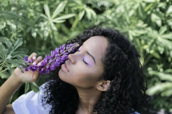 貓抓了意外保險報銷嗎？如何報銷？