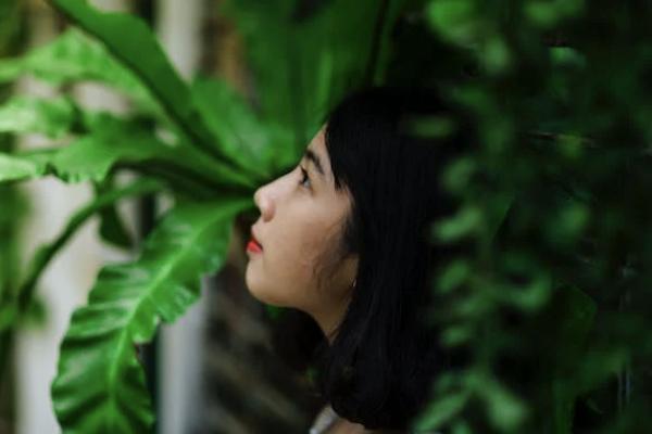 農(nóng)村意外保險怎么賠償標準是什么？怎么報銷？
