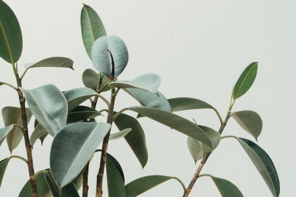生病住院算意外險嗎？保障范圍是什么？
