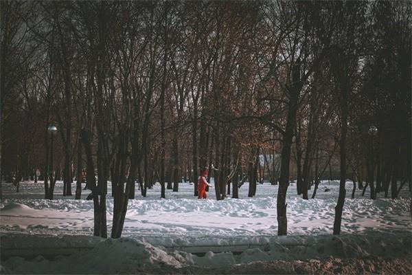 兩千萬意外險需要多少錢？如何理賠？