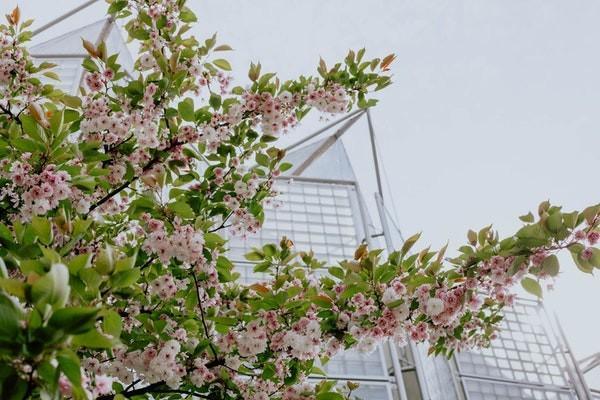 惠蓉保含不含意外保險(xiǎn)？保障范圍有哪些呢？