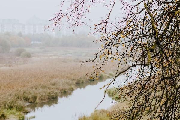 平安意外險(xiǎn)能報(bào)狂犬疫苗嗎？怎么報(bào)狂犬疫苗？