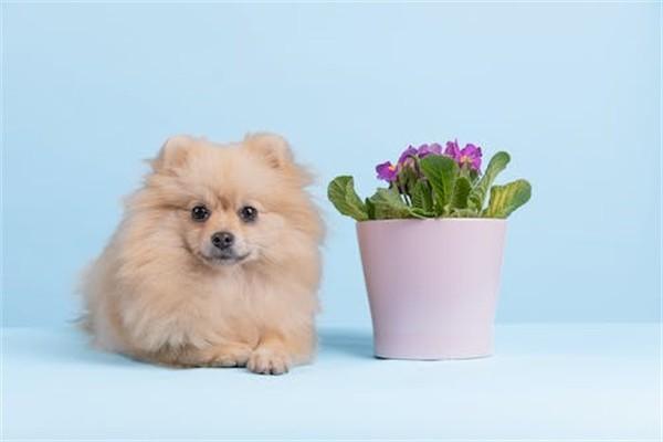 6類意外保險是什么意思？值得買嗎？