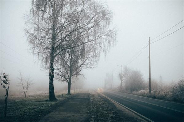 意外保險打石膏可以報銷嗎？報銷期限是多少天？