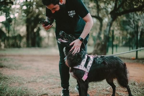 打狂犬疫苗意外保險(xiǎn)報(bào)銷(xiāo)嗎？比例是多少？