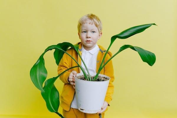 兒童住院商業(yè)保險報銷流程是怎樣的？報銷需要什么材料？