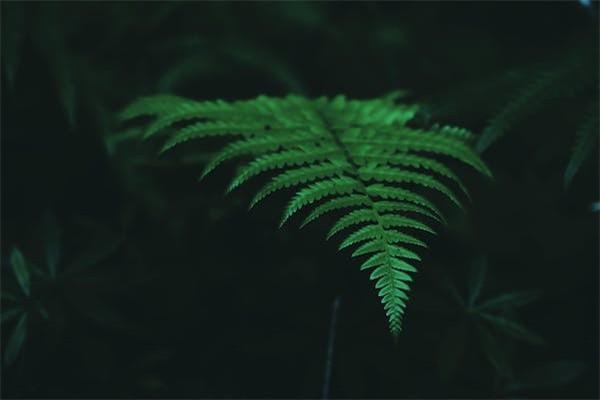 商業(yè)險可以出險幾次？出險有影響嗎？