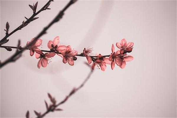 環(huán)衛(wèi)工人意外保險(xiǎn)賠償標(biāo)準(zhǔn)是什么？賠償材料是什么？