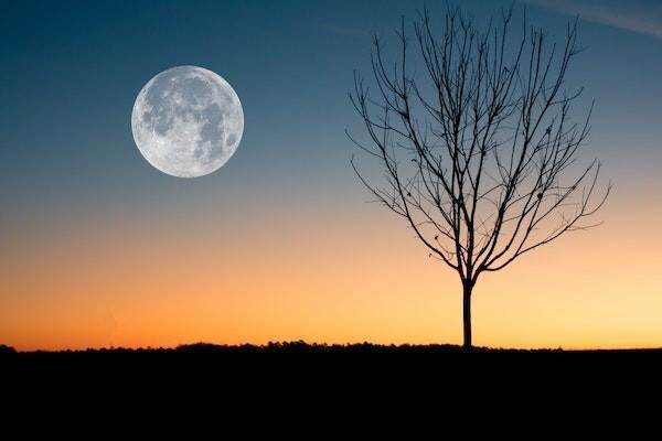 太平超醫(yī)保2021款保險責任是哪些？值得買嗎？