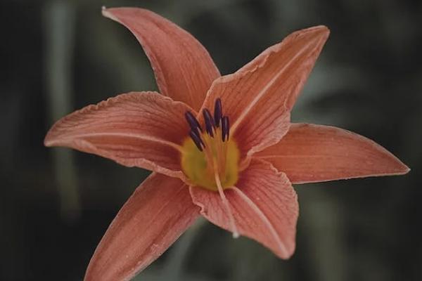 守護(hù)真愛(ài)2號(hào)重大疾病保險(xiǎn)保什么？可靠嗎？
