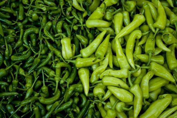螞蟻保險(xiǎn)可以退全款嗎？退保怎么操作？