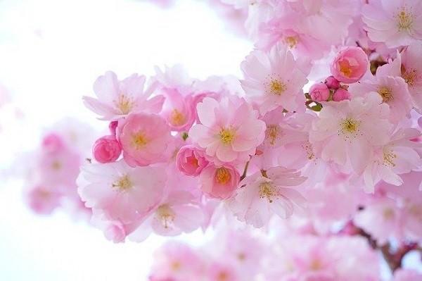 商業(yè)保險(xiǎn)生效時(shí)間怎么算？保障有哪些？