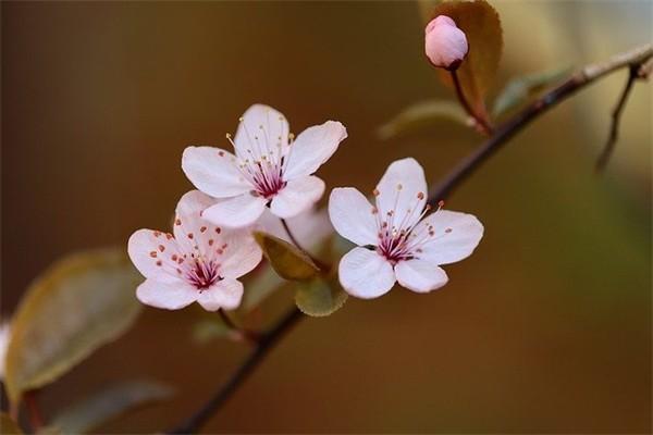 意外險(xiǎn)失效期是多長(zhǎng)時(shí)間？什么時(shí)候生效？