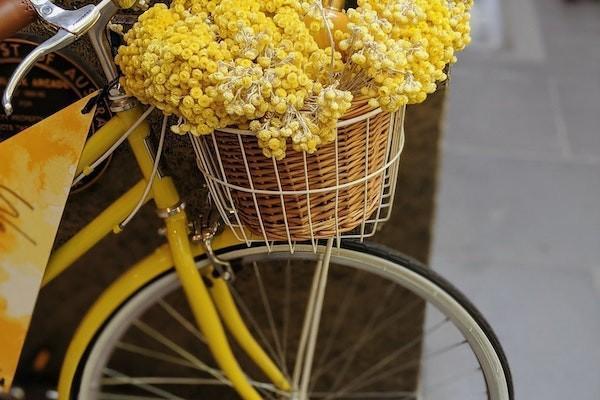 人壽大病醫(yī)療保險報銷范圍有哪些？報銷比例是多少？