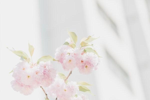 有腦梗病史的人買(mǎi)什么保險(xiǎn)好？買(mǎi)保險(xiǎn)應(yīng)該怎么買(mǎi)？