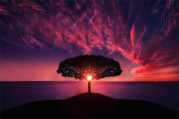 陜西大病醫(yī)療保險報銷比例是多少？報銷流程是什么？