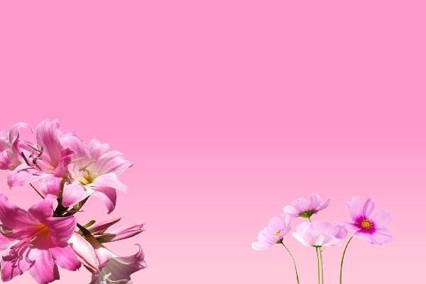 養(yǎng)老保險交了三十年可以停嗎？停繳手續(xù)怎么辦理？