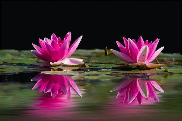 太平福祿終身重大疾病保險(xiǎn)是返還型的嗎？怎么樣？