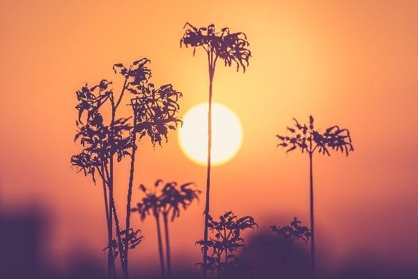 駕乘險可以退保嗎？退保退多少錢？